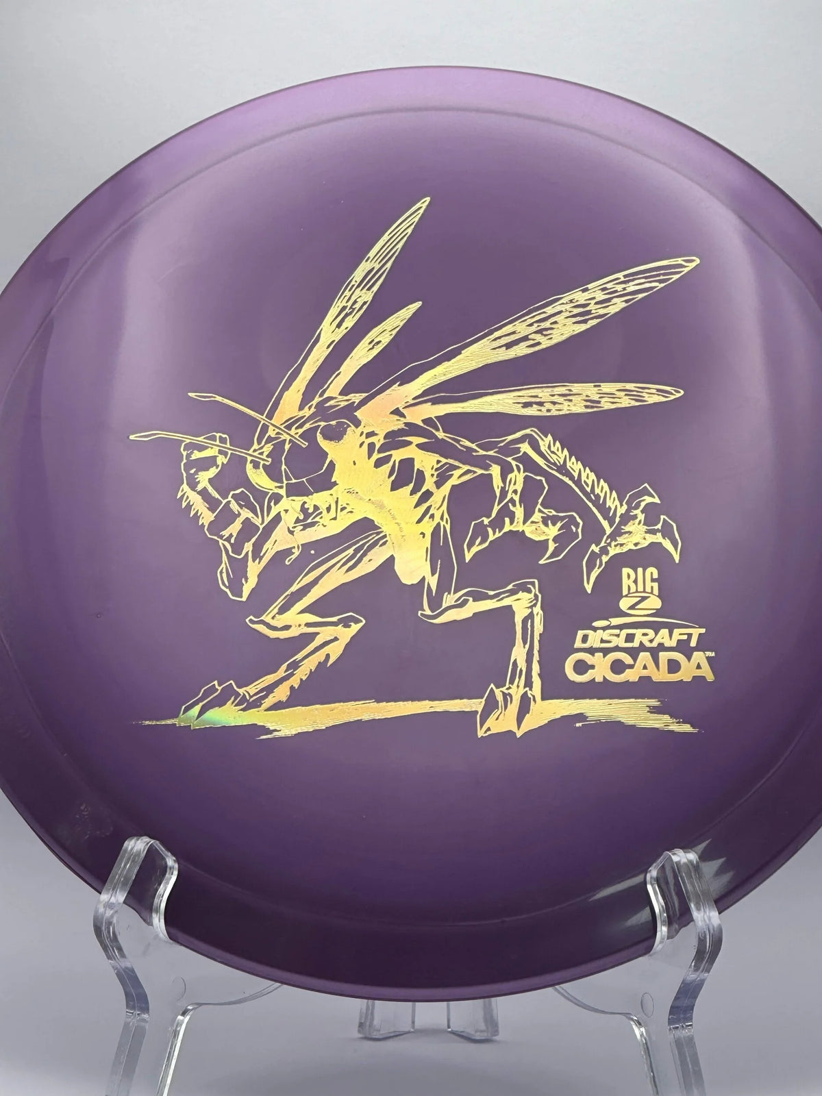 BIG Z CICADA 170-172G